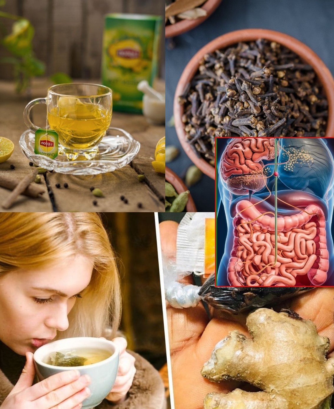 Lipton Cloves And Ginger Tea A Soothing And Health Boosting Drink