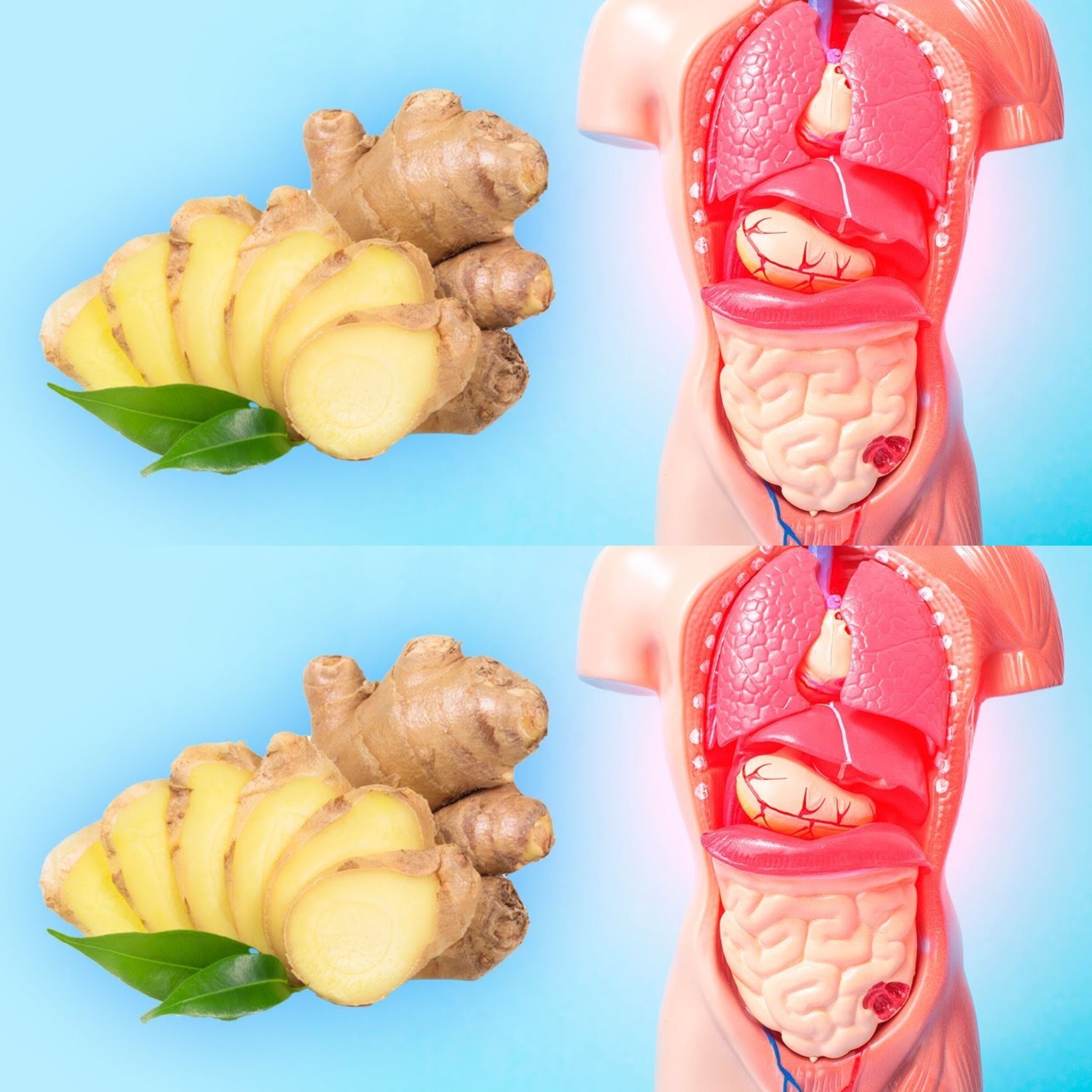 The Incredible Health Benefits Of Ginger What Makes It So Good For You