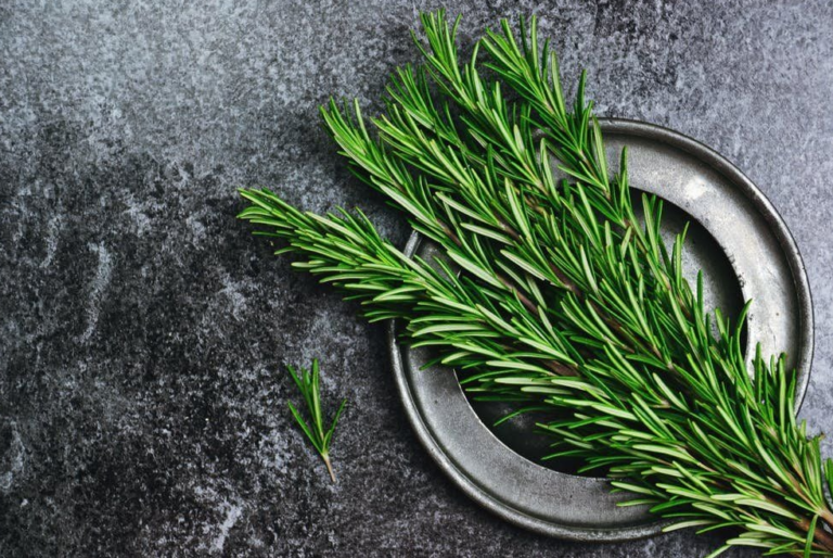 Discover the Surprising Benefits of Applying Rosemary to the Back of